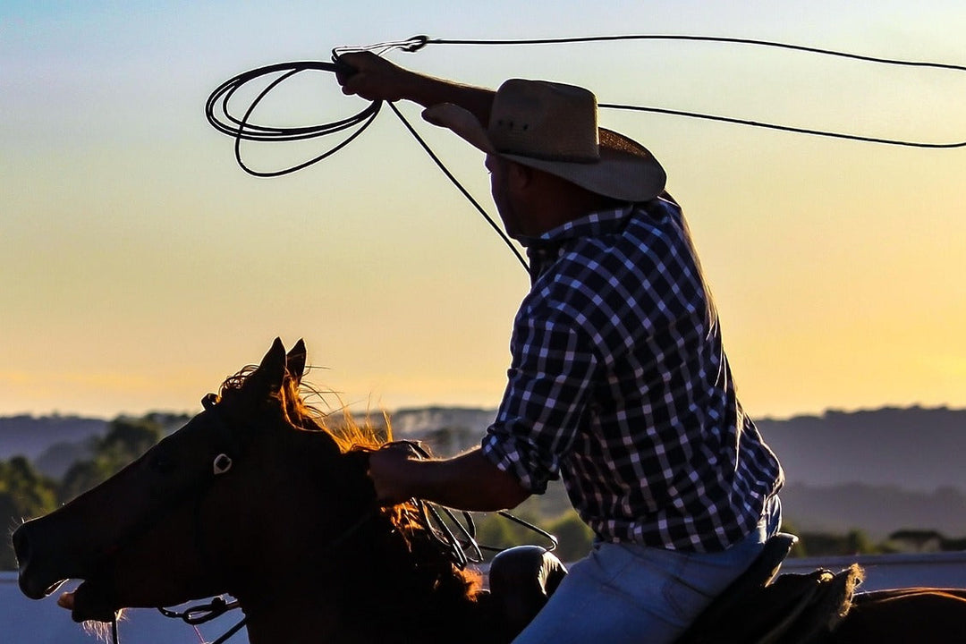 Cowboy on horseback with a lasso at sunset